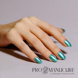 Shellac-Clash-Out-Hand